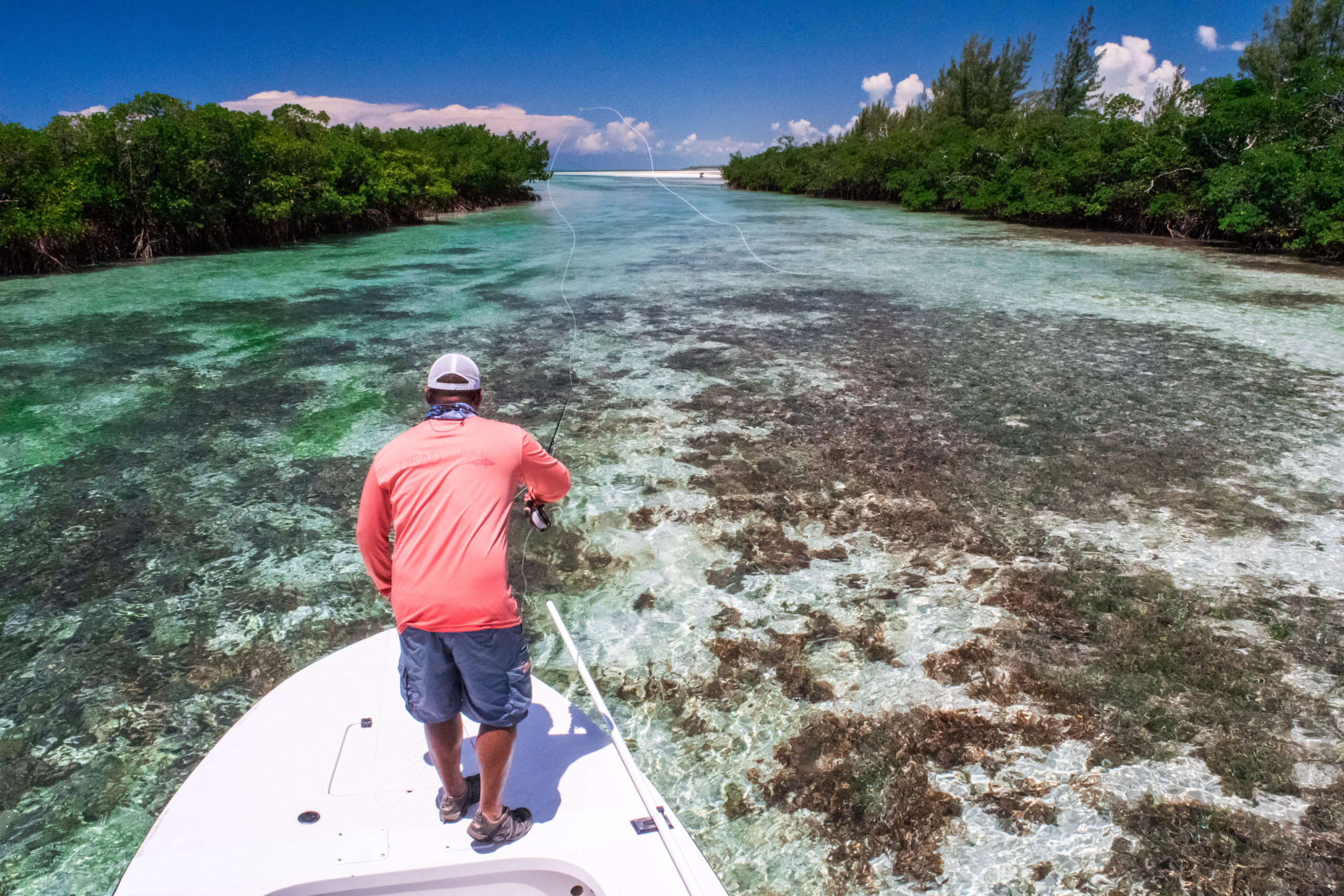 Angler casting in mangroves from front of boat.