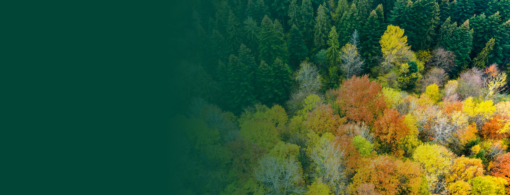 Nature Based Solutions Theodore Roosevelt Conservation Partnership