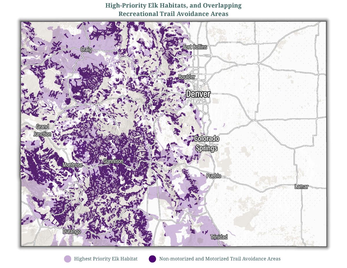 Elk Migration Colorado 2025