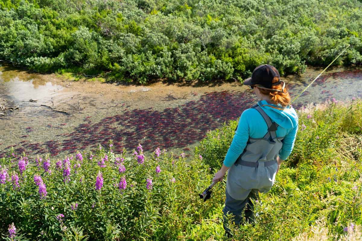 Alaska-Bristol-Bay-female-angler-salmon-overlook-Photo-by-Fly-Out-Media-1200