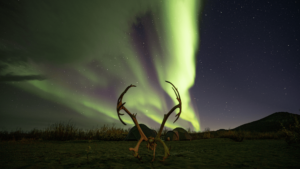 Aurora over brooks range
