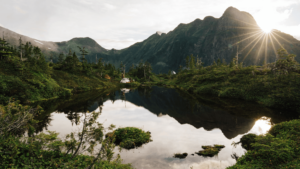 tongass landscape photo