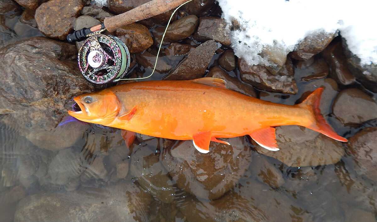 Ice Fishing for Arctic Char in Alaska 