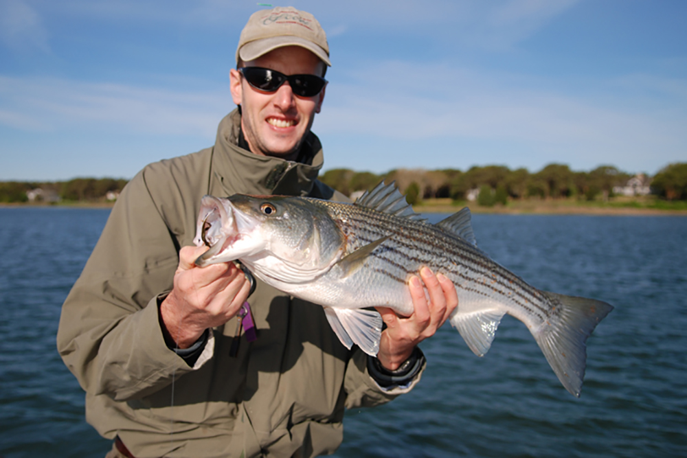 Breakthroughs Position Striped Bass for Commercial Success - North