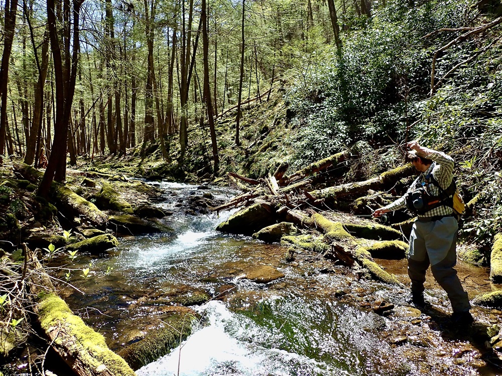 125 Pennsylvania Trout Streams That Deserve a Conservation Status Update | Theodore Roosevelt Conservation Partnership