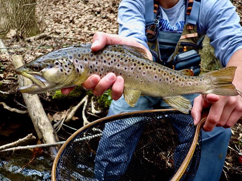 Trout fishing gear by the stream in PA 2025
