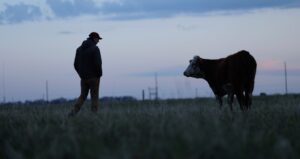farmer with cow